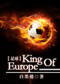 [足球]King Of Europe男主