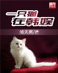 一只猫在韩娱小说免费阅读