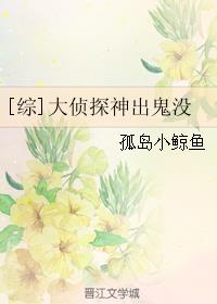 [综]大侦探神出鬼没简介